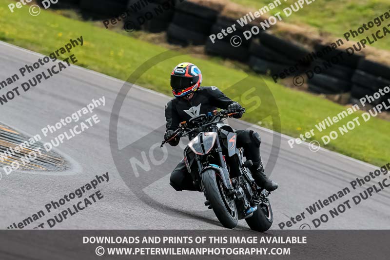 PJ Motorsport 2019;anglesey no limits trackday;anglesey photographs;anglesey trackday photographs;enduro digital images;event digital images;eventdigitalimages;no limits trackdays;peter wileman photography;racing digital images;trac mon;trackday digital images;trackday photos;ty croes